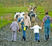 Farm family 2